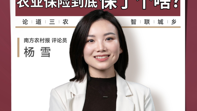兴农评丨一亩地赔9元，农业保险到底保了个啥？
