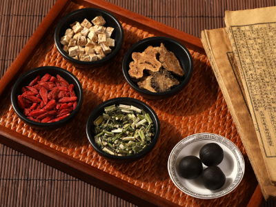 一幅中国南药“动图”：“绿色黄金”正苏醒| 南药食养 ⑤