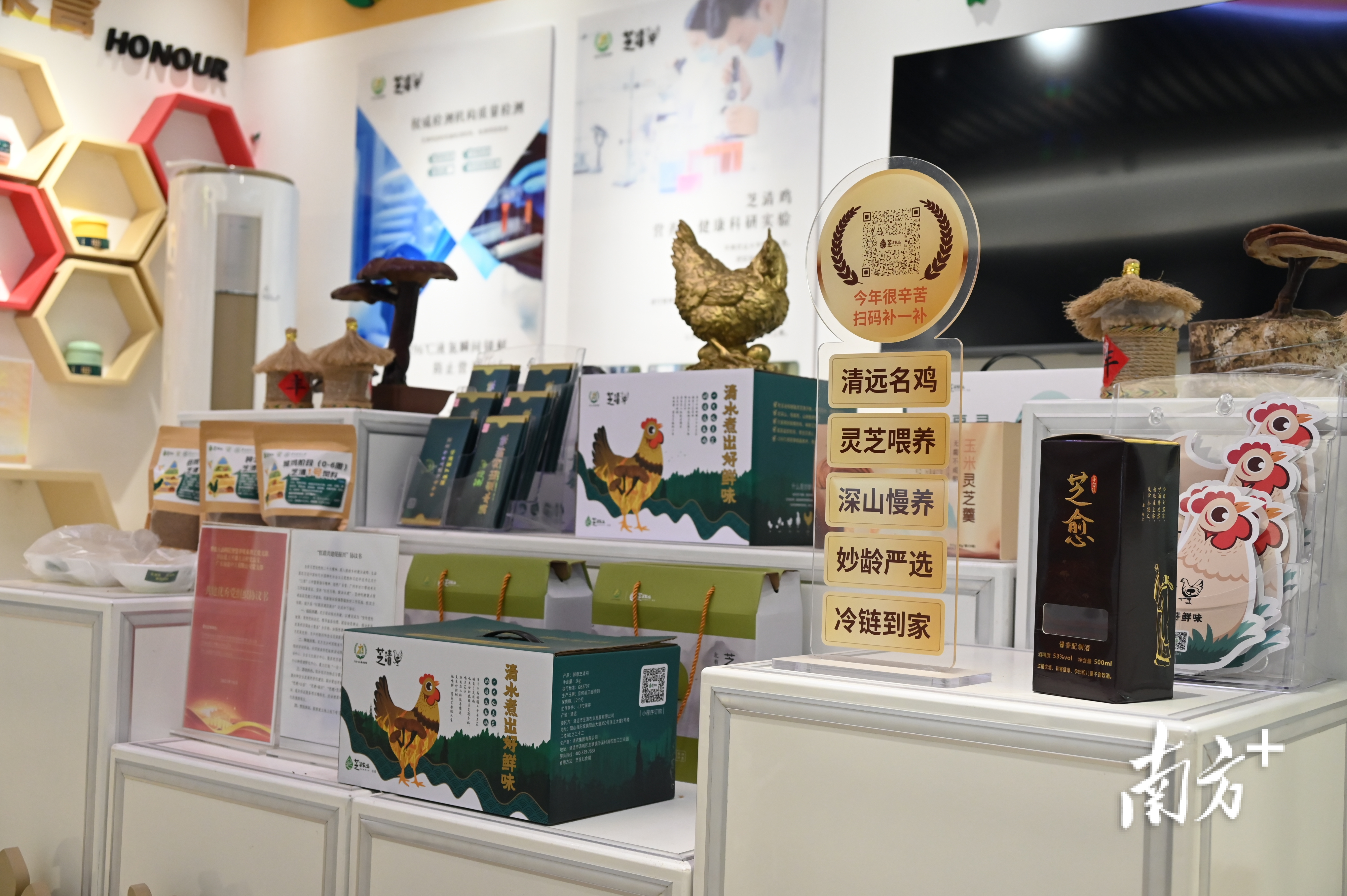 太平镇毛崀村清远市芝清农业发展有限公司研发的系列清远(阳山)鸡产品。 段灿 摄 太平镇毛崀村清远市芝清农业发展有限公司研发的系列清远(阳山)鸡产品。 段灿 摄