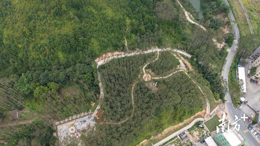 如同“绿丝带”的慢行步道盘旋在迳头镇圩北侧。受访者 供图 如同“绿丝带”的慢行步道盘旋在迳头镇圩北侧。受访者 供图