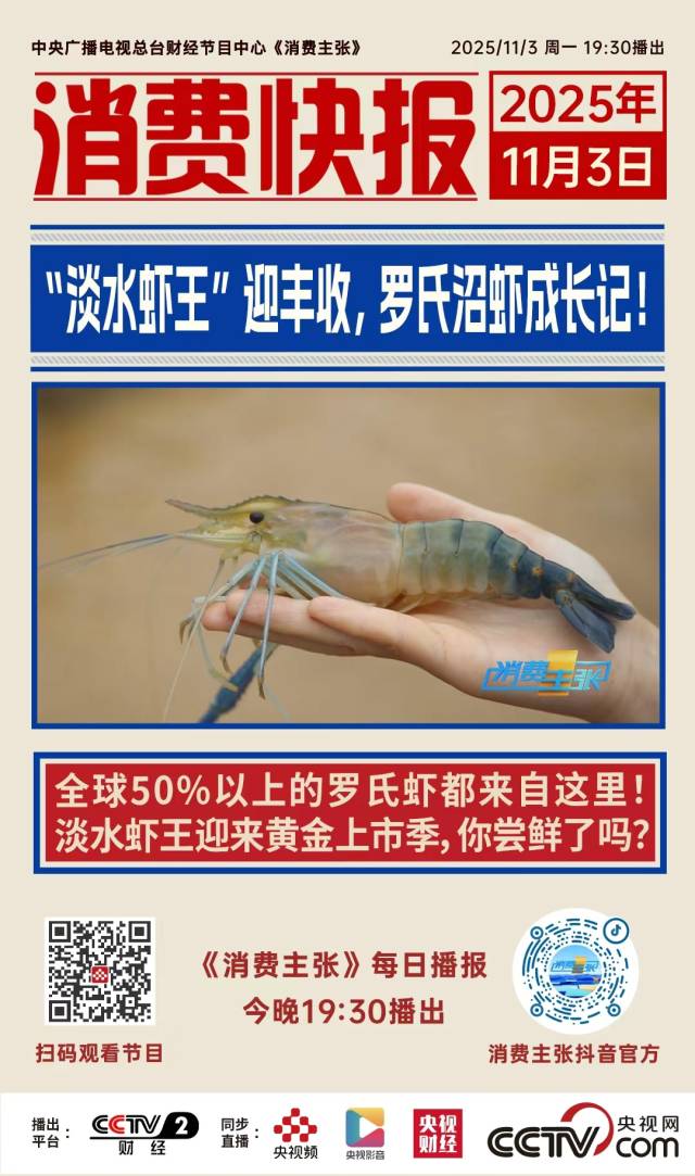 央视黄金30分钟,为什么关注广东这只虾?