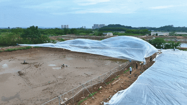 ▲?虾塘冬棚盖膜。邓达荣 摄 ▲?虾塘冬棚盖膜。邓达荣 摄