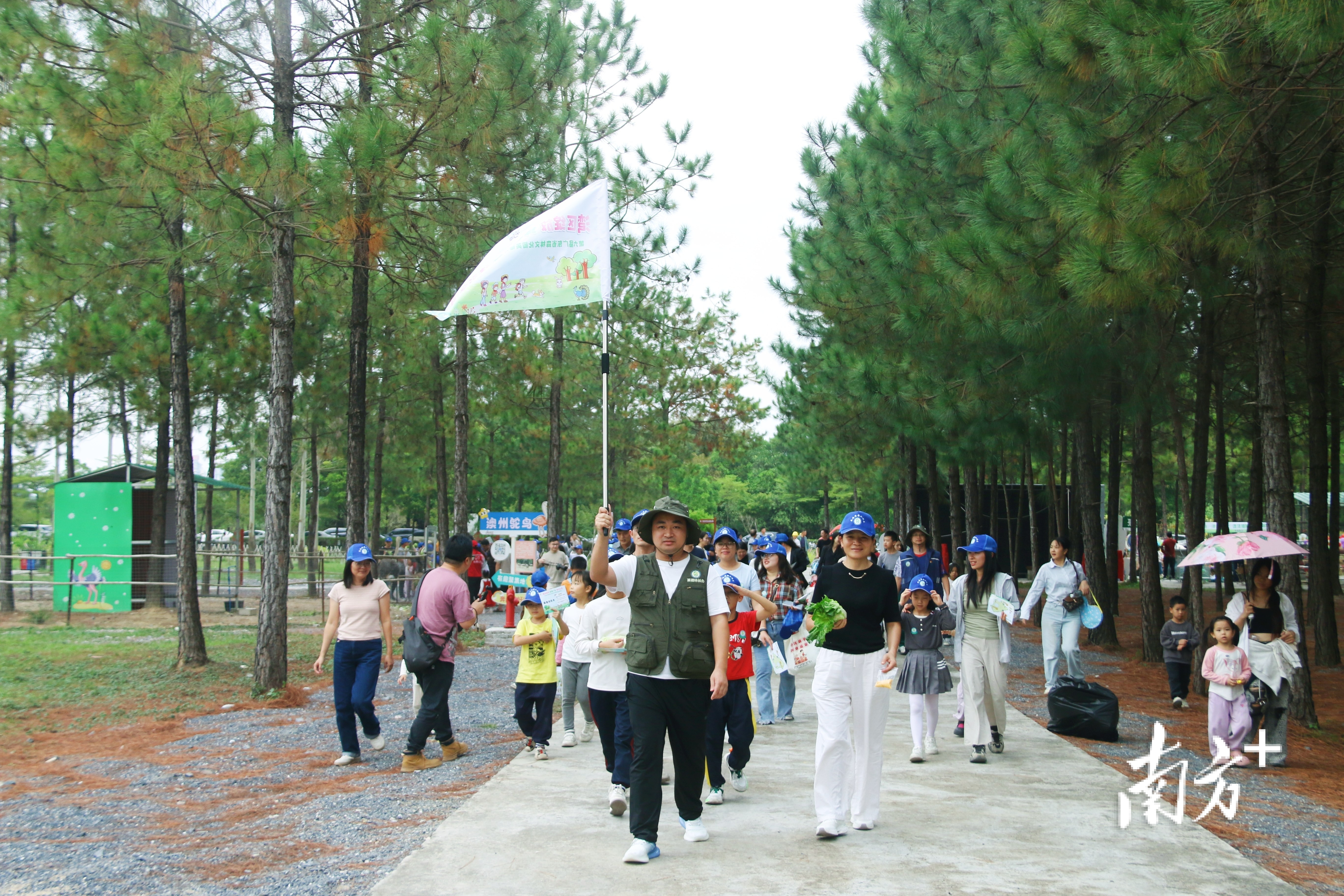 家长与孩子们在湿地松林公园徒步。陈咏怀 摄 家长与孩子们在湿地松林公园徒步。陈咏怀 摄