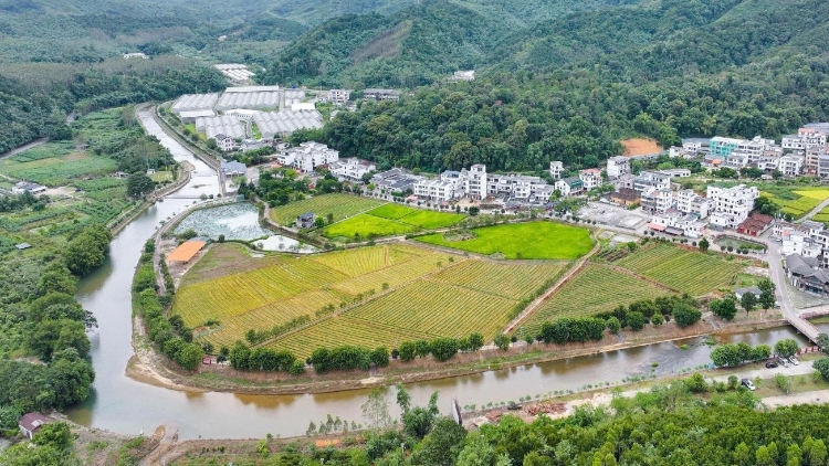 在清远连樟当一天村民，解锁这里的“幸福密码”