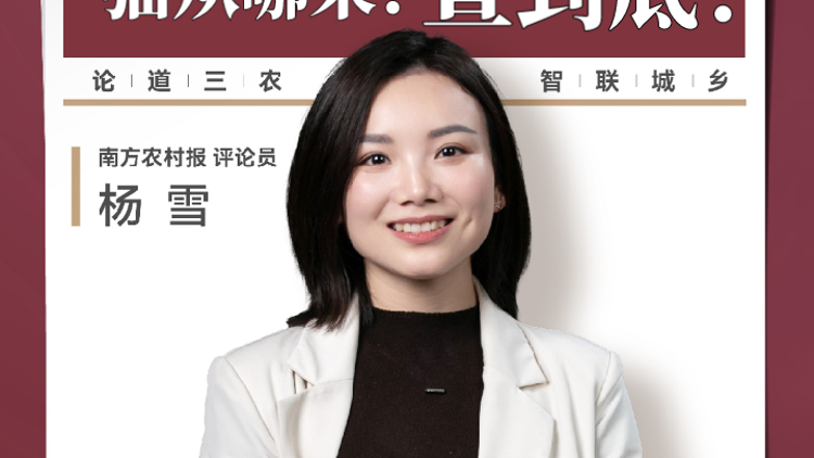 兴农评丨水库放生猫咪，猫从哪来？查到底！