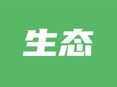 江城区深入排查整治生态环保领域问题隐患