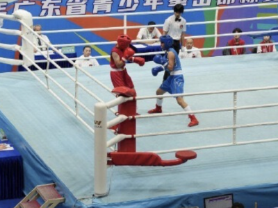 拳击奥运冠军领衔出战，澳门选手首秀亮相