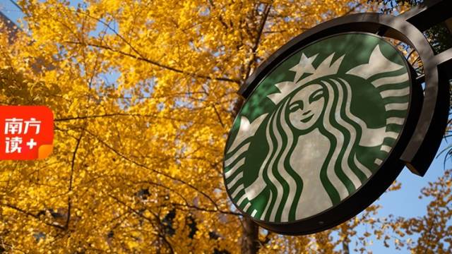 “星爸爸”在中国，找了个“新爸爸”