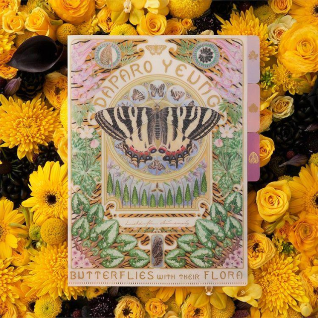 昆明蕉鹿梦文化传播有限公司—中华虎凤蝶与杜衡 