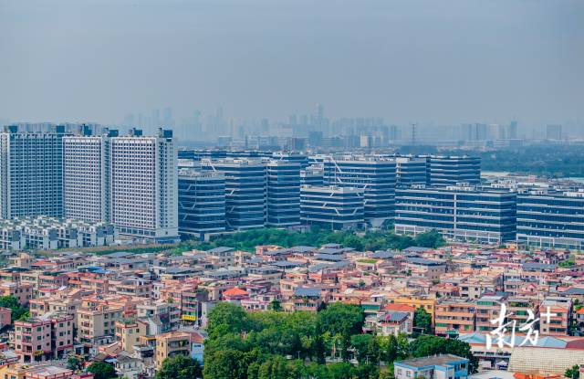 远眺黄龙村，产业园区与整洁的连片村屋相依。廖明璨 摄