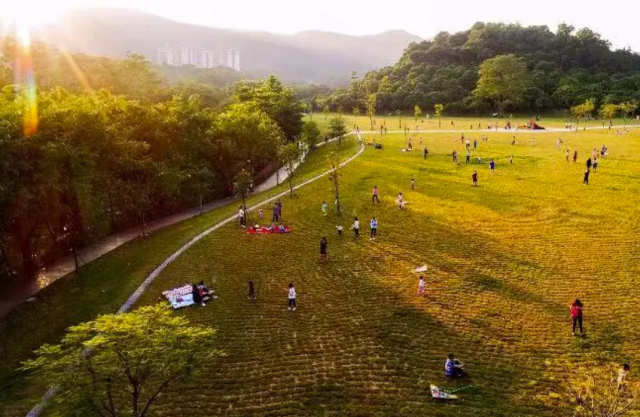 通讯员 东莞市大屏嶂森林公园 供图