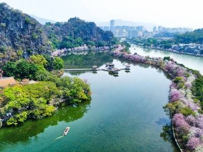 观赛来肇庆，薅到一大波“羊毛”