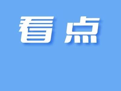 首笔有偿使用费入库！湛江开启城市交通管理智慧化新篇章