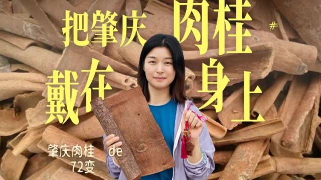 把肇庆肉桂戴在身上是什么感觉？看肇庆肉桂72变~董小姐说农业