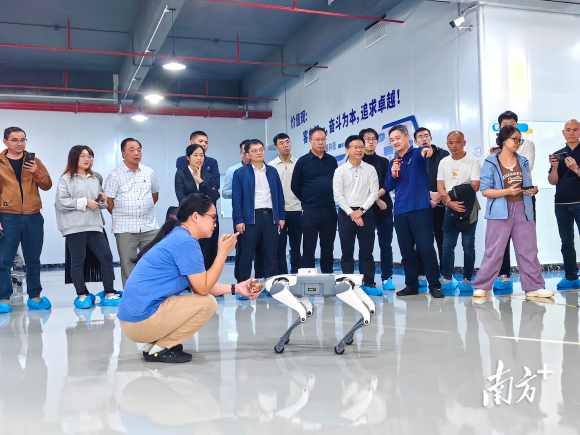 调研组走进顺盈嘉智能科技园内的艾感科技公司,现场了解安装气味传感器的机器狗工作原理。 卢浩能 摄 调研组走进顺盈嘉智能科技园内的艾感科技公司,现场了解安装气味传感器的机器狗工作原理。 卢浩能 摄