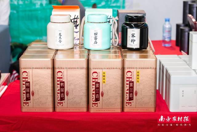 产自凤凰山脉的凤凰单丛茶。