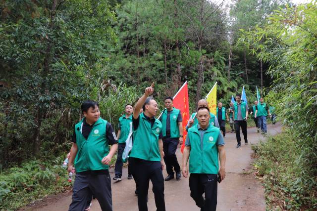 森林徒步活动 森林徒步活动