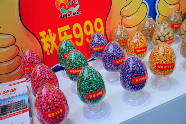 南方农村报 张植宏 拍摄