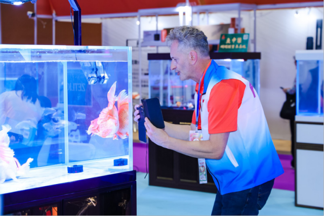 PSC宠交会广州连开三天，观赏鱼与水族产业游向新蓝海