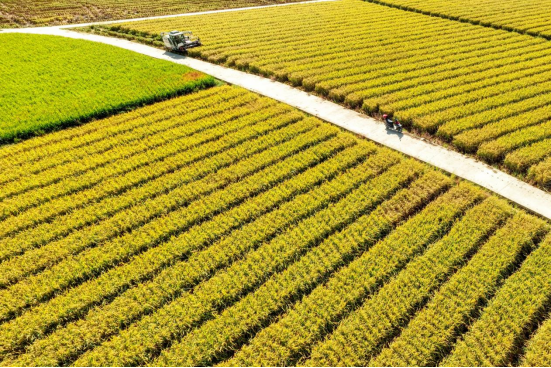 人保财险创新构建“保险+科技+农服”防灾减损新模式