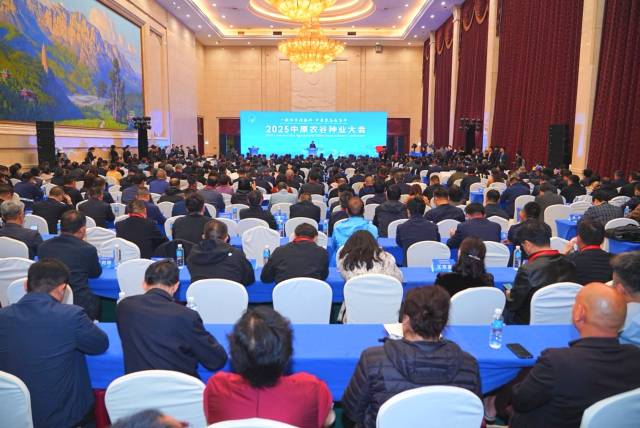 大会开幕式现场