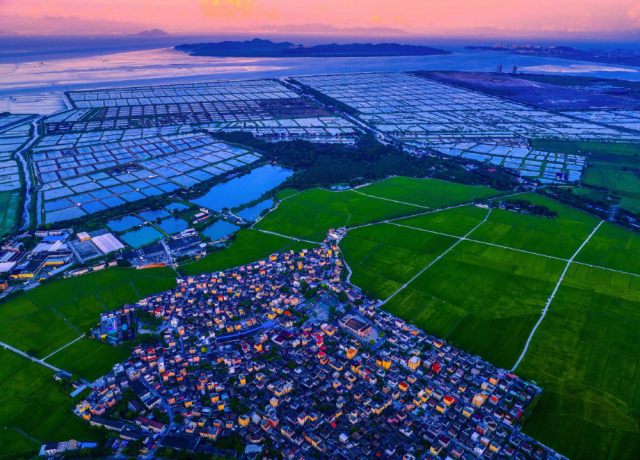 超越“网红”：中山崖口村的农文旅融合“新算法”