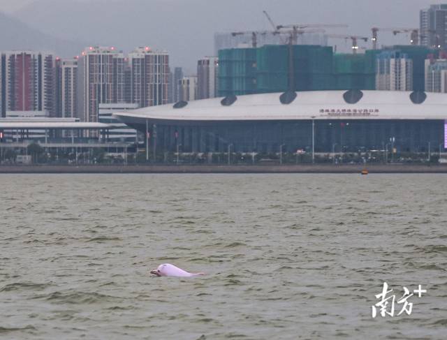 南方+ 石磊 拍摄