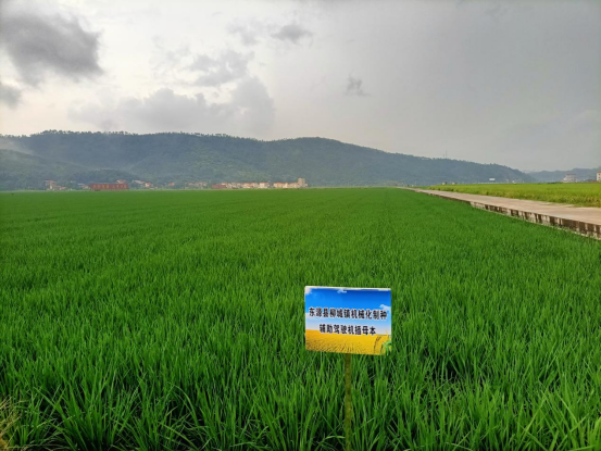 东源万绿智慧无人农场