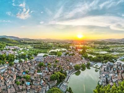 南方观察｜肇庆“新农人”激活农业新质生产力