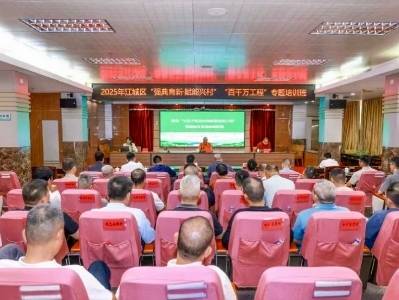 聚焦“百千万工程”，2025江城区“强典育新·赋能兴村”专题培训班开班