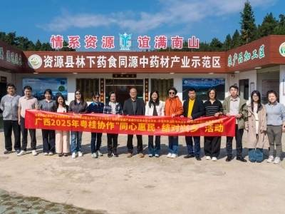 续写“山海情”：深圳医疗健康力量赋能乡村振兴