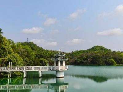 以减法开“美颜”，石化山公园“逆生长”｜新型城镇化·台山新变化