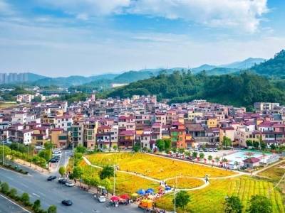 乡村新农人，发展新故事！聚焦肇庆农业新质生产力一线实践