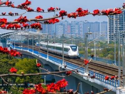 粤港澳全面协同，建设高质量发展的示范地