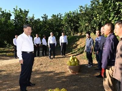 习近平在广东省梅州市考察调研