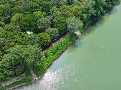 视频｜爆改小岛！潮州版岛屿“变形计”有多“野”？