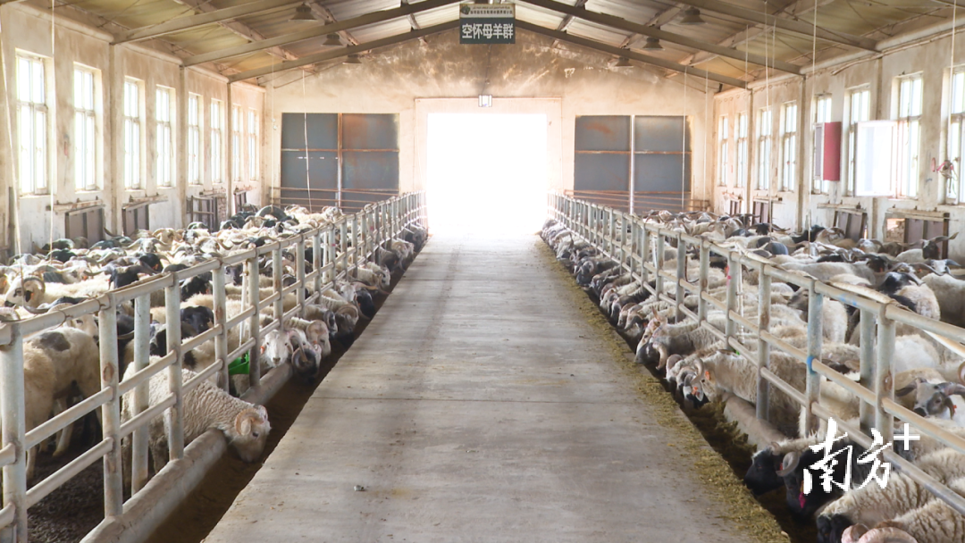 合米提江·吐尔洪 摄