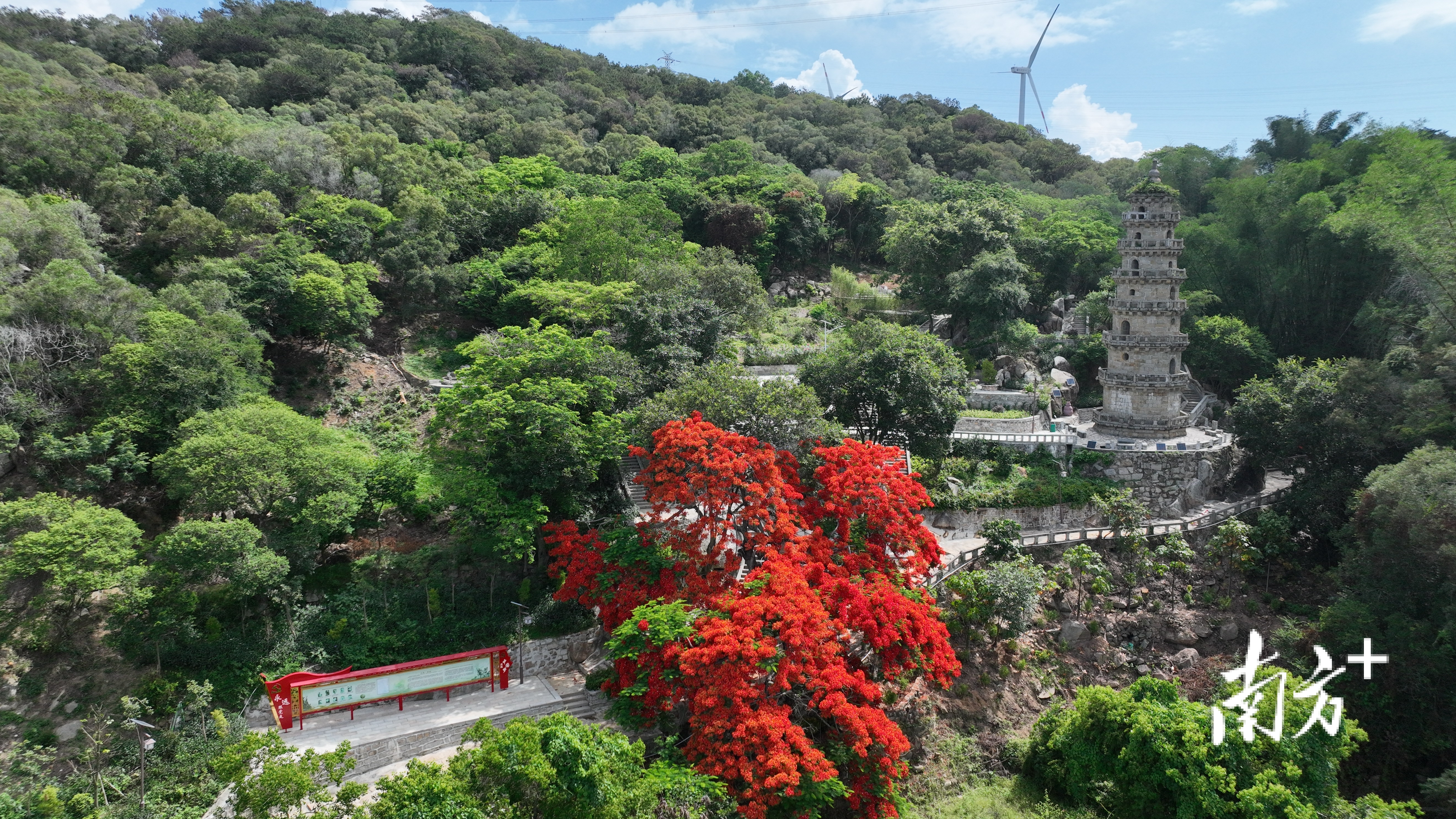 潮州市饶平县风吹岭绿美点。通讯员 林荫 供图