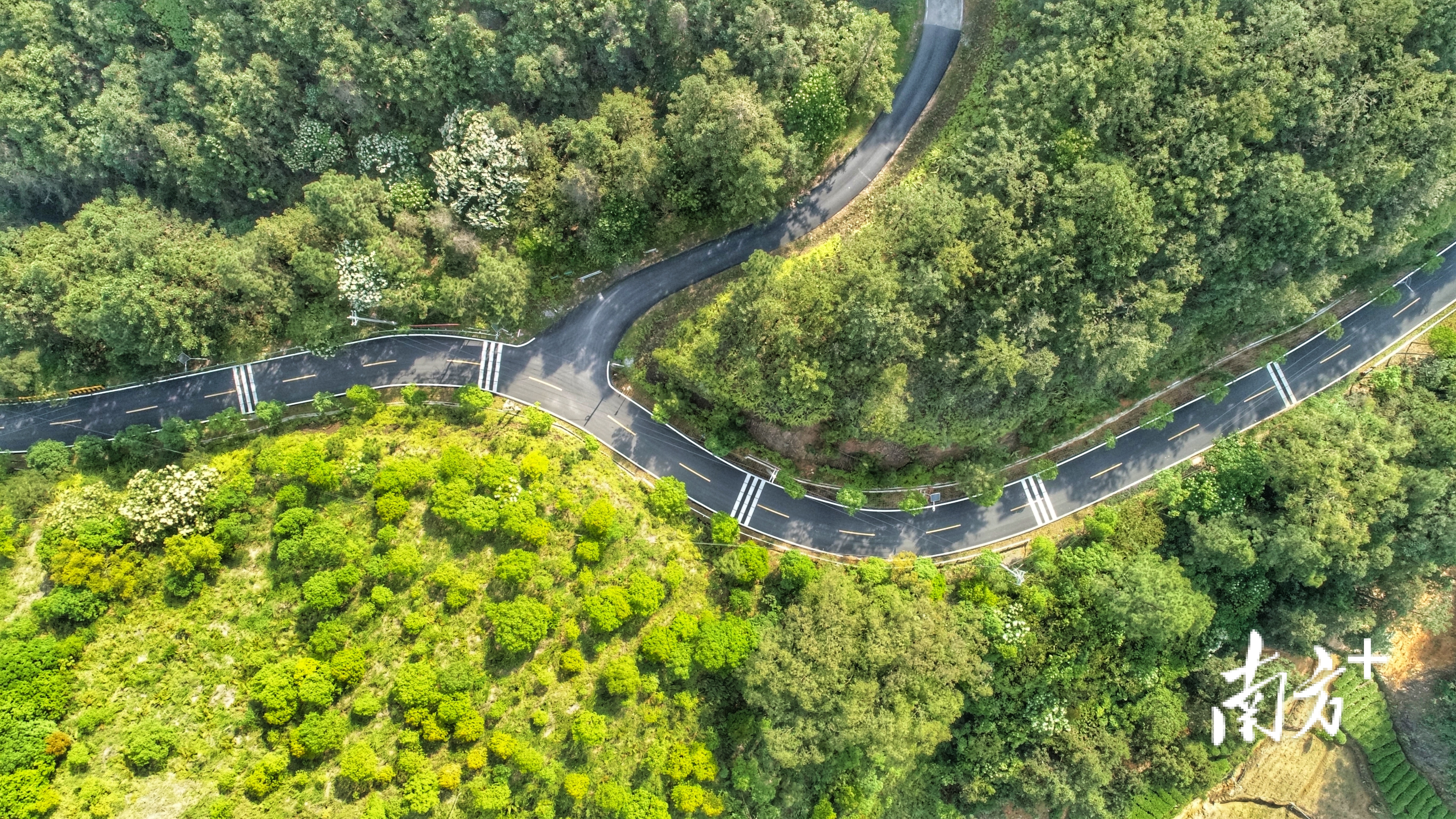 潮州市潮安区凤凰山绿美点。通讯员 林荫 供图