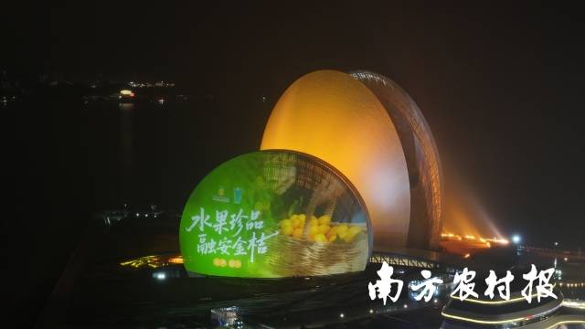 高光时刻！“水果珍品 融安金桔 ”亮屏珠海地标日月贝