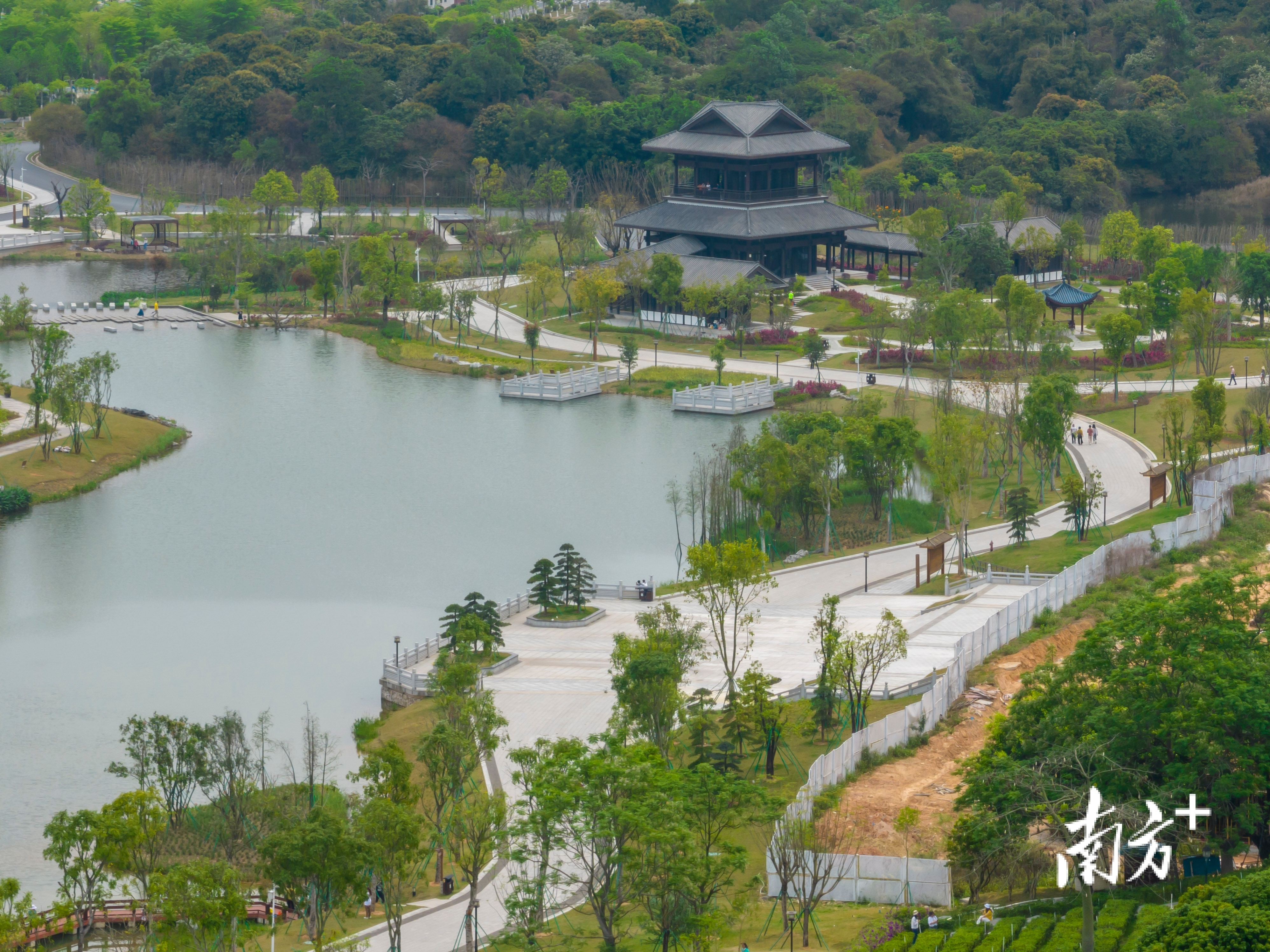 中山市（市本级）中山国家森林公园绿美点。通讯员 林荫 供图