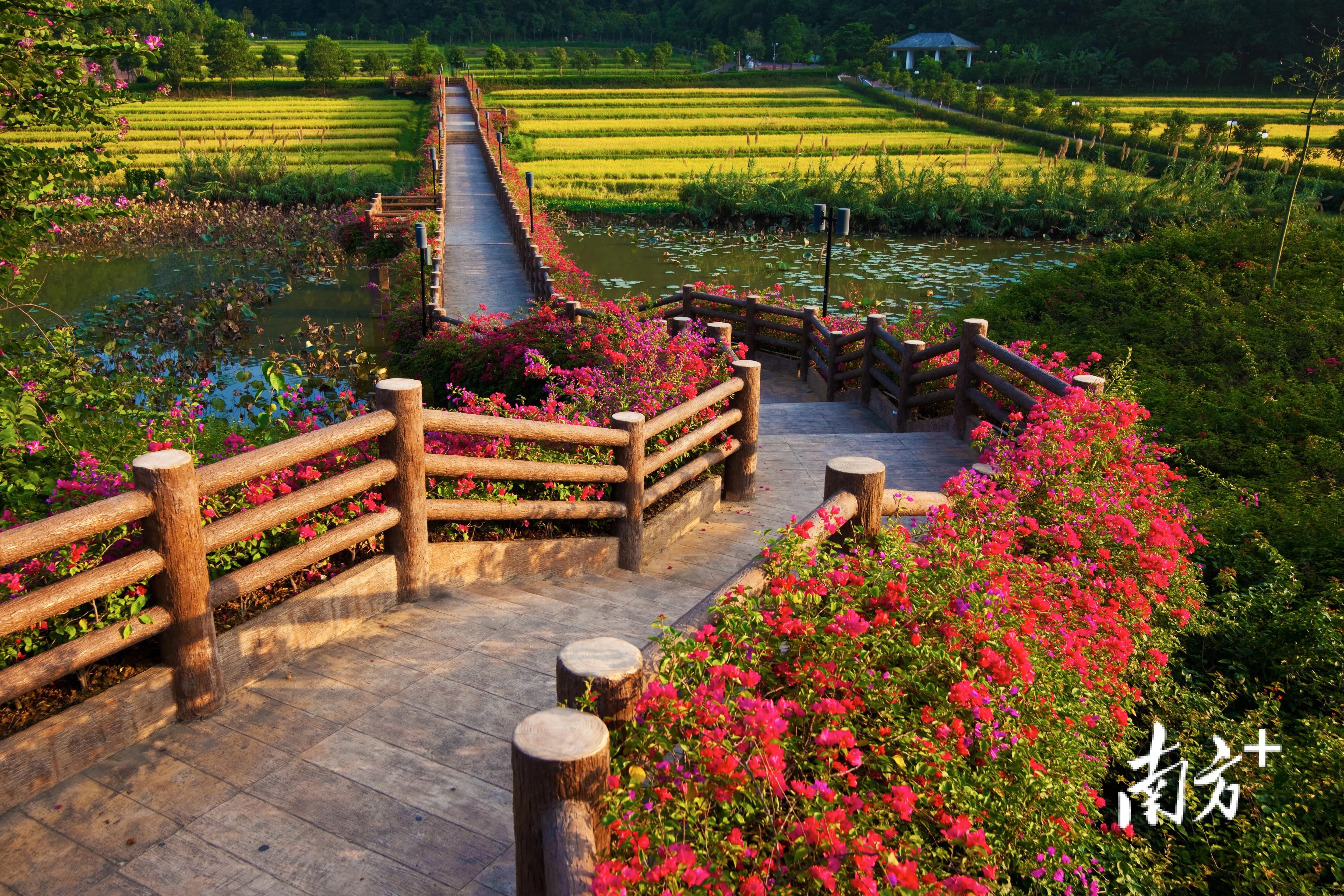 云浮市（市本级）南山绿美点。通讯员 林荫 供图