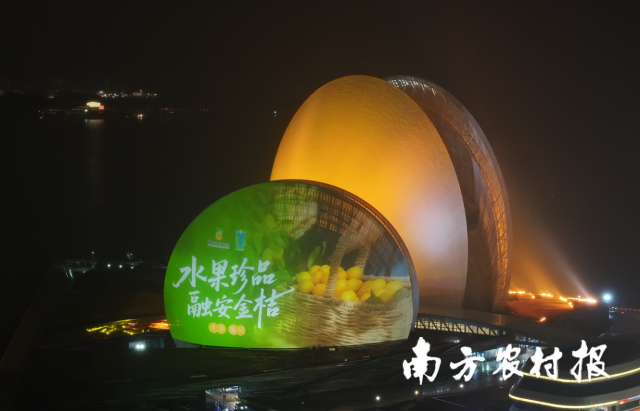 融安金桔品牌点亮珠海日月贝。