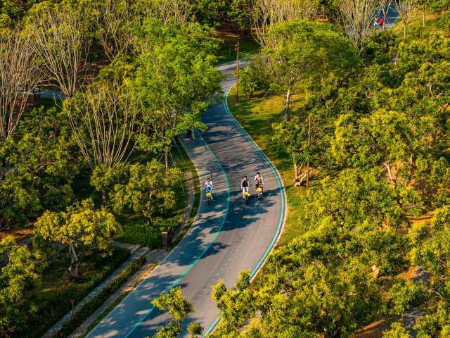 深圳环西丽湖绿道成为附近居民骑行好去处