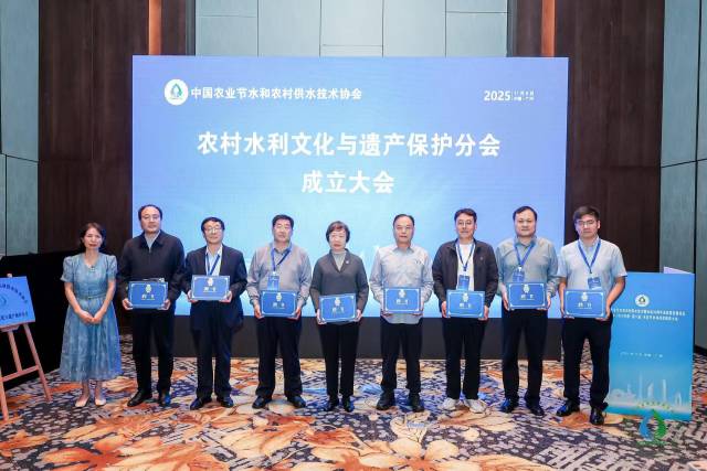 陈菁会长向专家代表颁发聘书