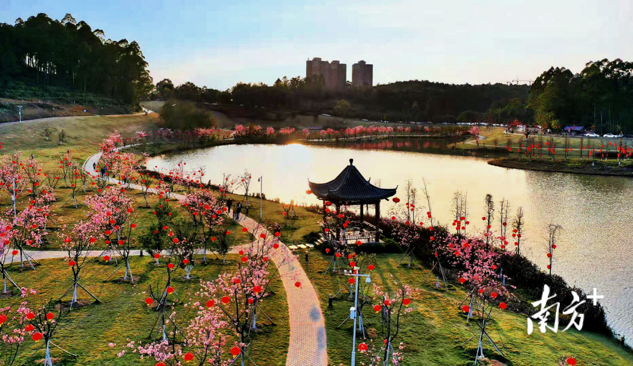 云浮市郁南县大王山绿美点。通讯员 林荫 供图