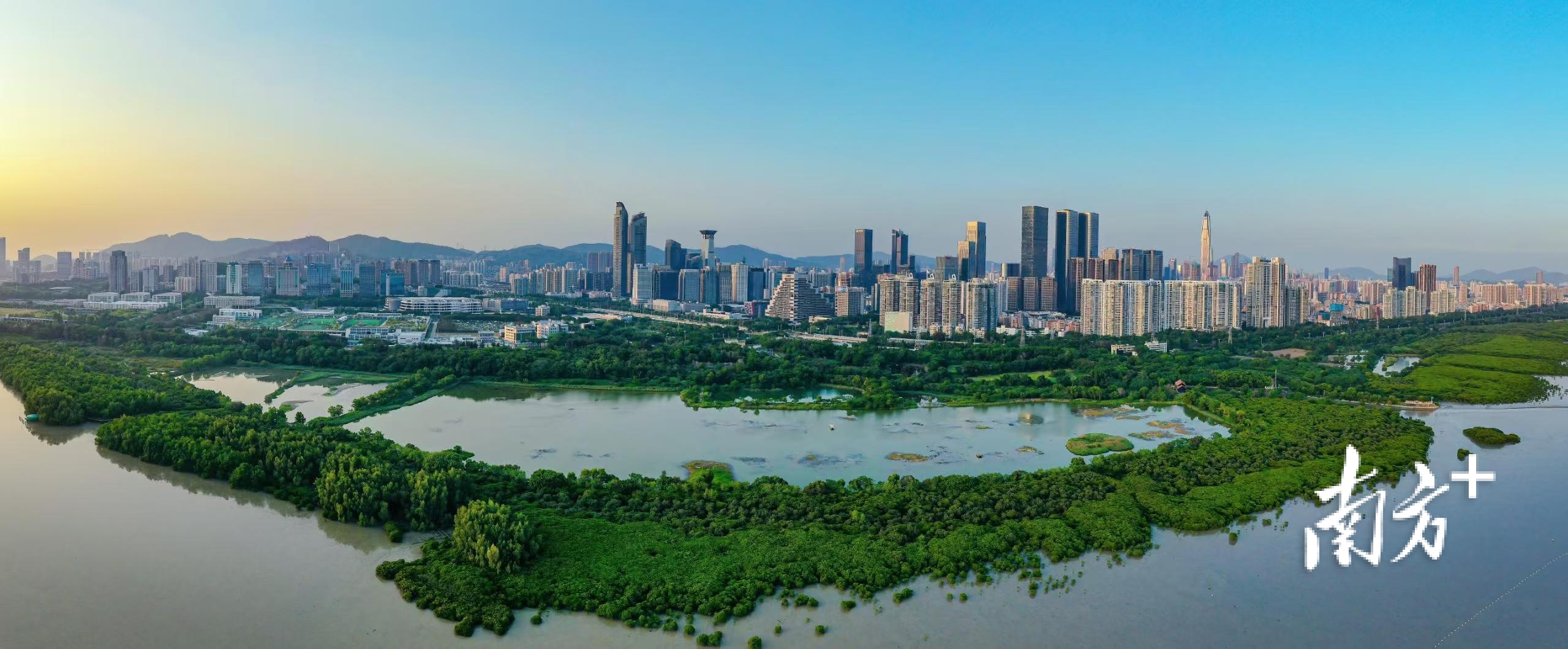 深圳市福田区红树林绿美点。通讯员 林荫 供图