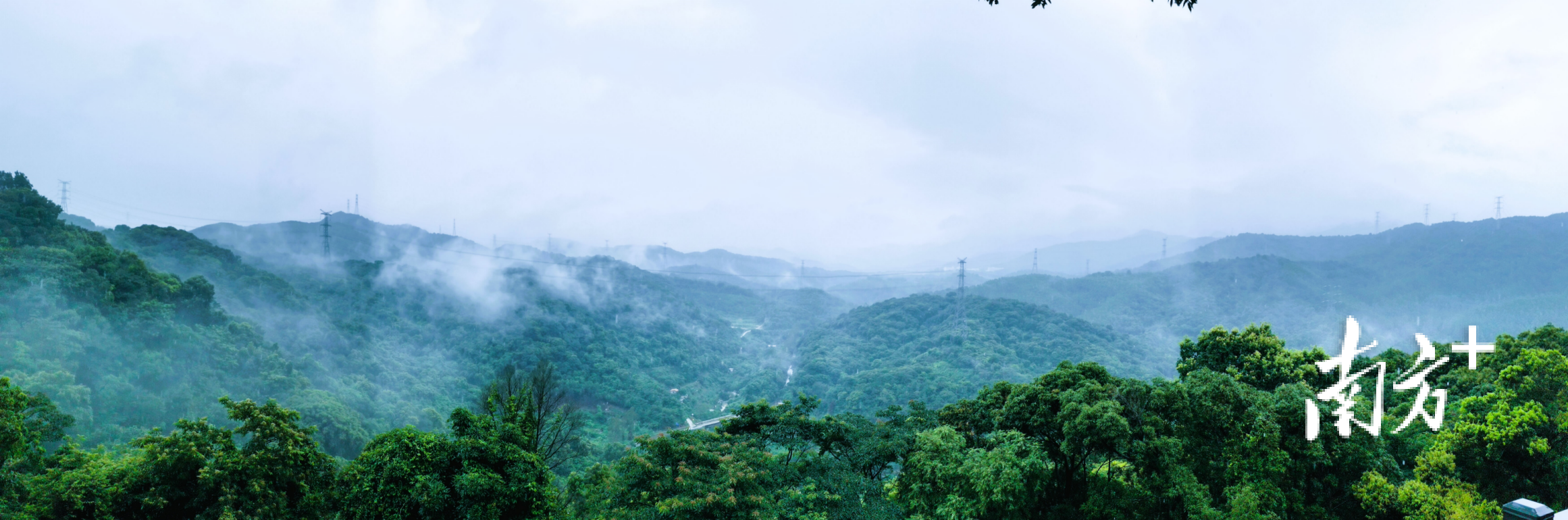 惠州市博罗县万亩罗浮锥绿美点。通讯员 林荫 供图