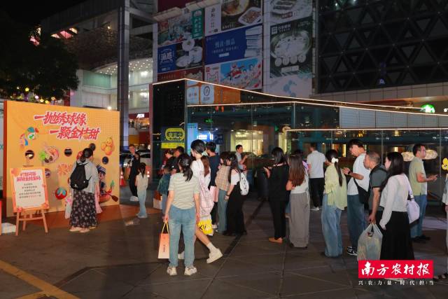 融安金桔趣味互动游戏现场火爆。