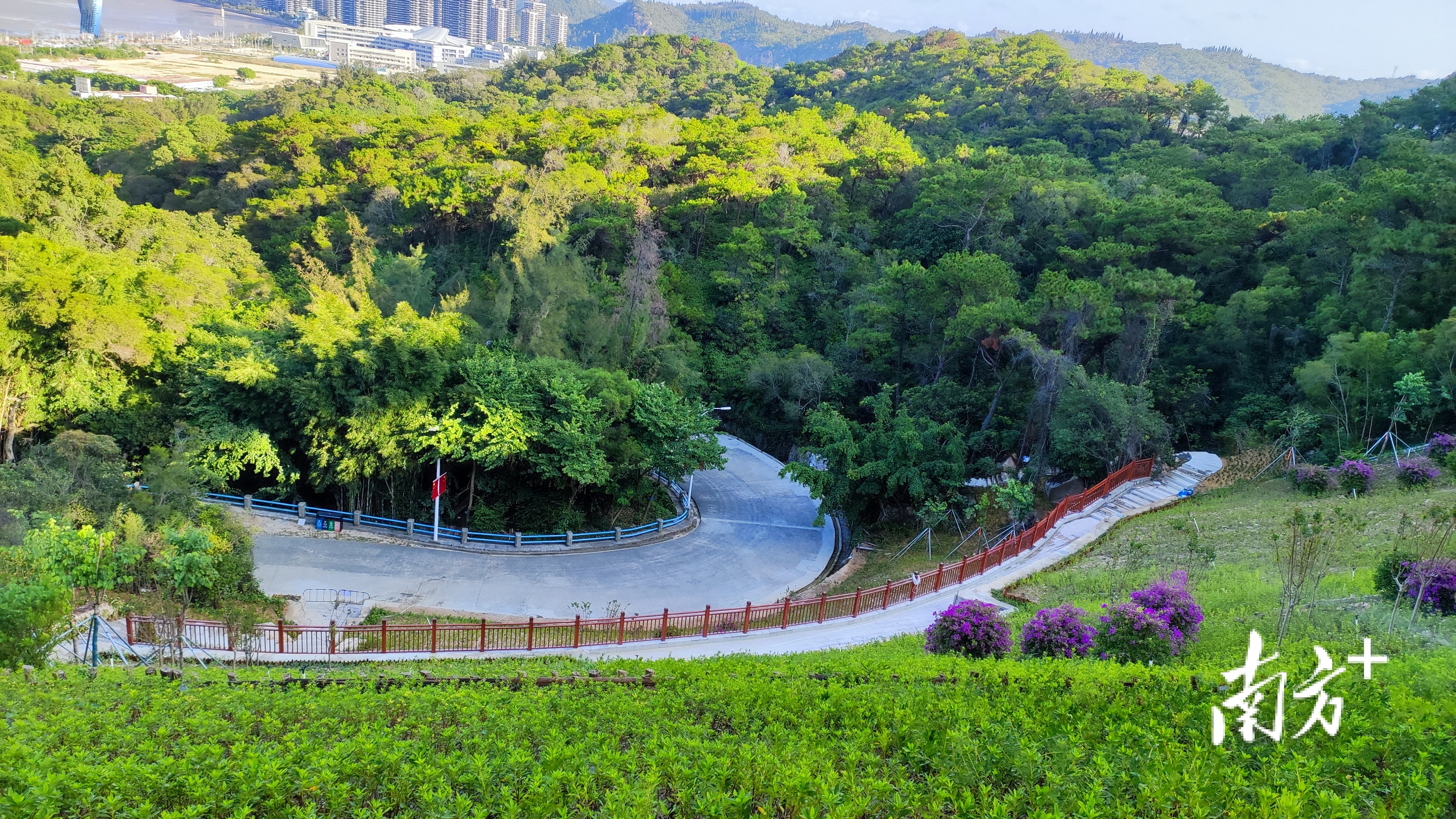 汕头市（市本级）礐石山绿美点。通讯员 林荫 供图